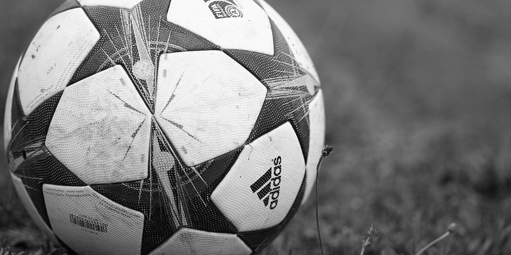 Proneo Sports_FLASHWEEK9