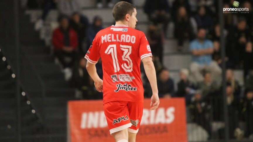 Miguel Ángel Mellado