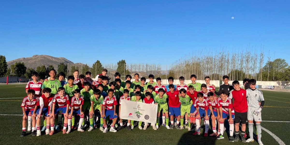 Stage Londrina - España